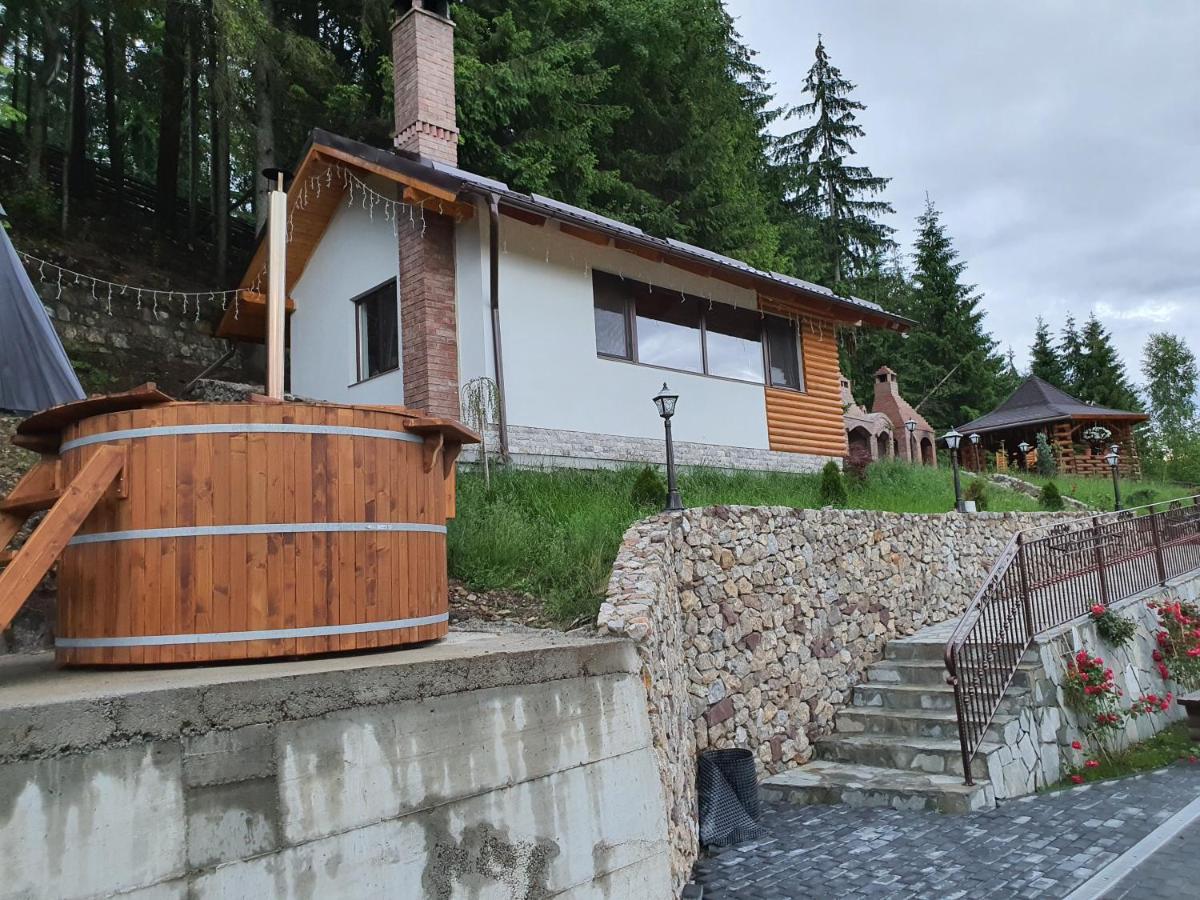 Готель Casa Sofia Bucovina Ciumirna Екстер'єр фото